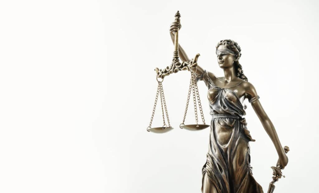 Parental Alienation in Child Custody Cases
