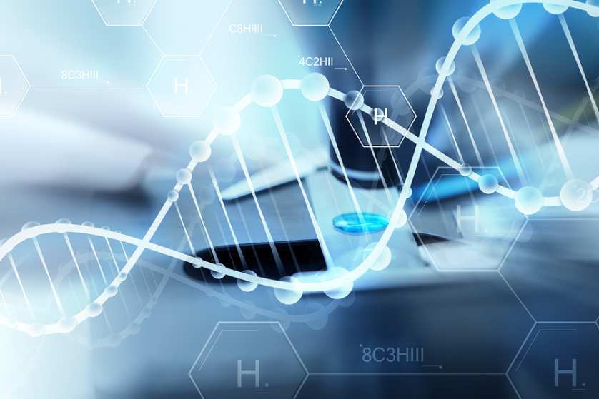 DNA Testing to Establish Paternity in Arizona. Arizona Paternity Laws About DNA Testing to Establish Paternity in Arizona.
