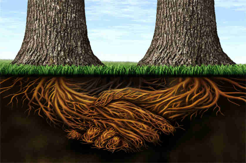 Result of Commingling Separate and Community Property
