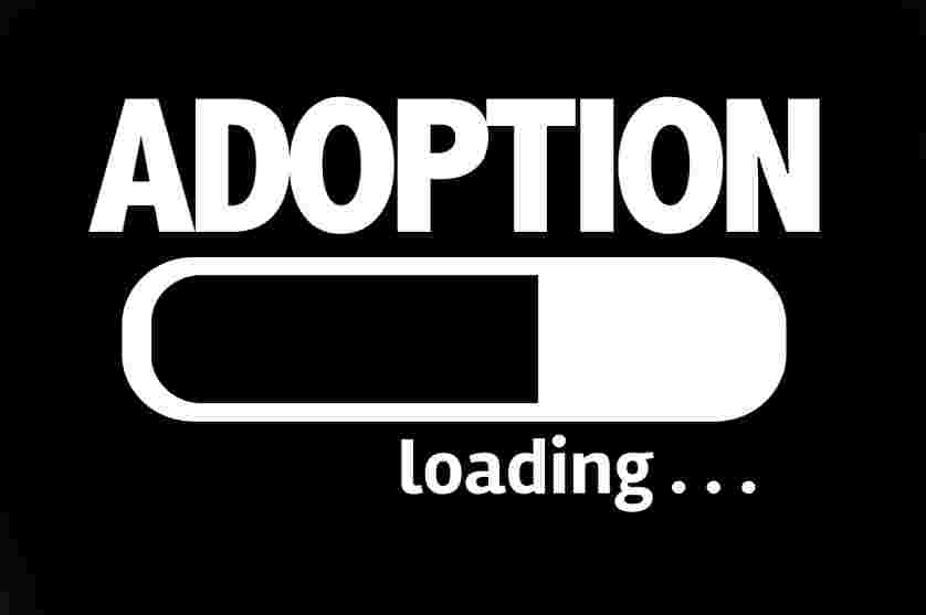 Extra Judicial Adoption Issue in an Arizona Probate