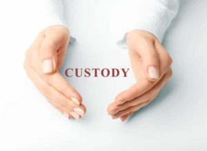 Due Process in a Child Custody Hearing in Arizona.