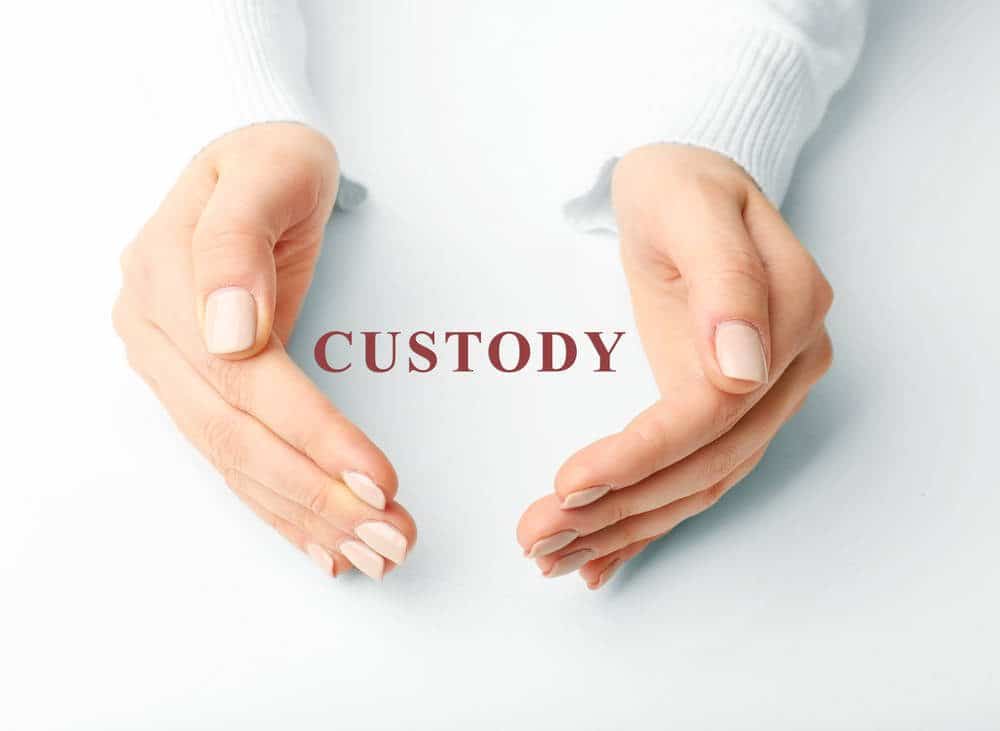 Child Custody Lawyer in Phoenix AZ.