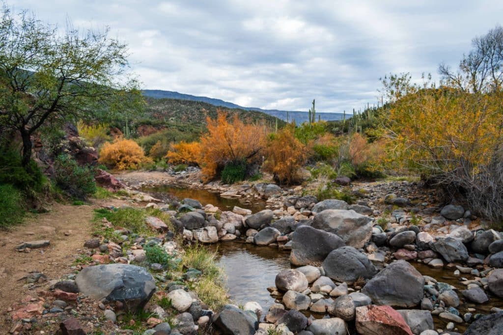 Cave Creek Arizona Prenuptial Agreement Attorneys