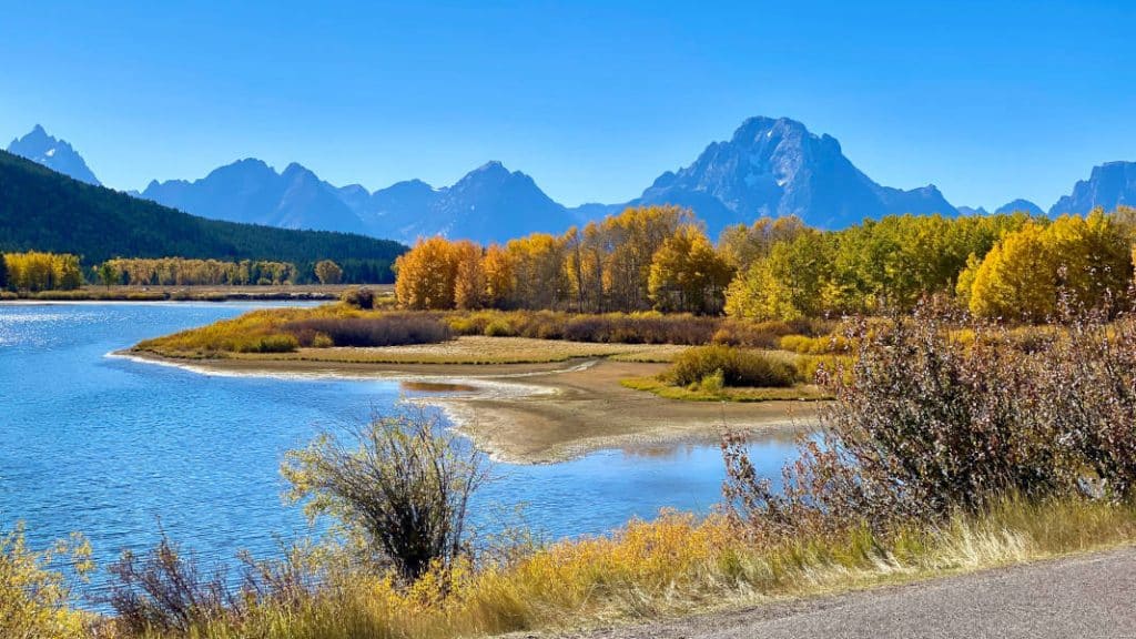 Yuma Arizona Paternity Attorneys