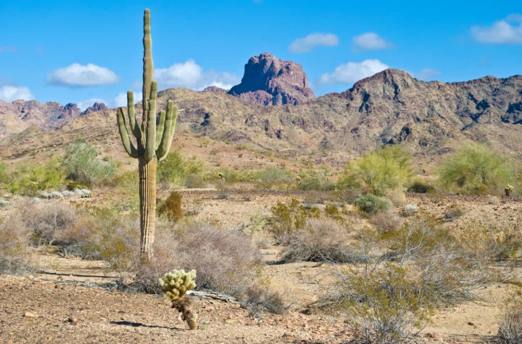 Yuma Arizona Spousal Maintenance Attorneys